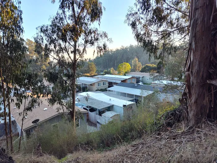 Salinas Sunset Mobile Home and RV Park Picture 7