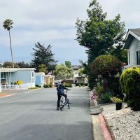 Lamplighter Salinas ico