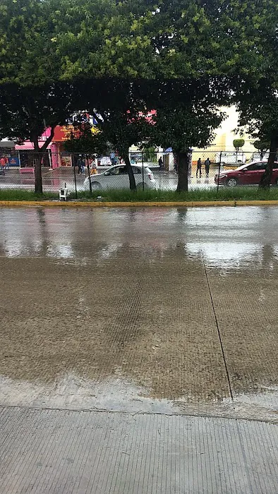 Lamplighter Salinas Picture 9