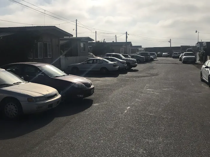 101 Trailer Park Picture 7