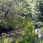 El Camino Mobile Home Park