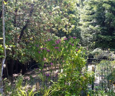 El Camino Mobile Home Park