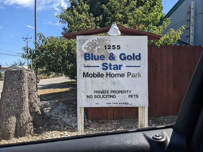 Blue & Gold Star Mobile Home Picture 1