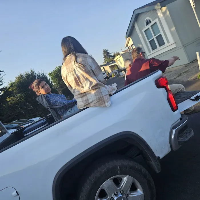 Blue & Gold Star Mobile Home Picture 3