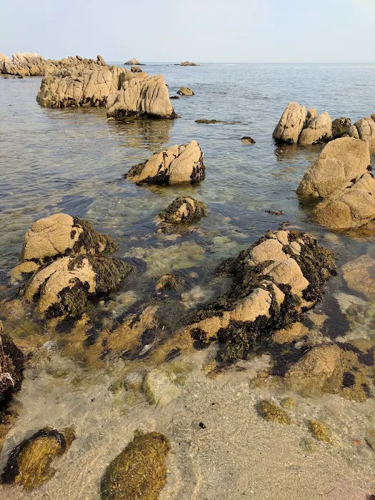 Blue & Gold Star Mobile Home Picture 5