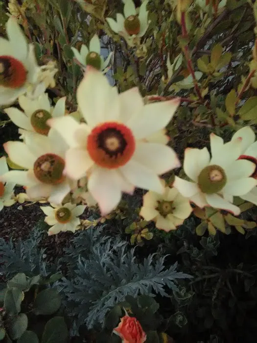 Pine Knoll Mobile Manor Picture 4