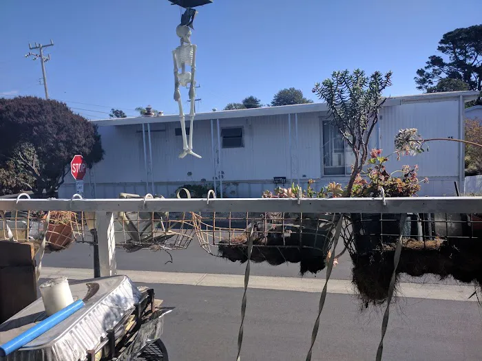 Castle Mobile Estates Picture 1