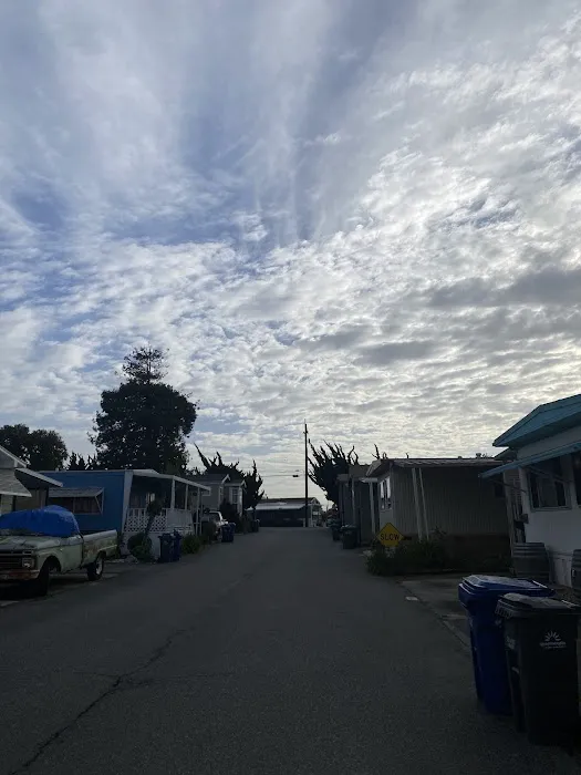 Castle Mobile Estates Picture 5