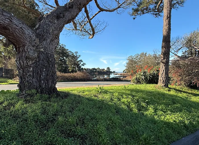 Beach RV Pleasure Point Picture 2