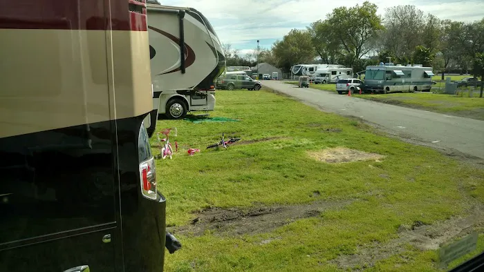 Alameda County Fairgrounds RV Park Picture 9
