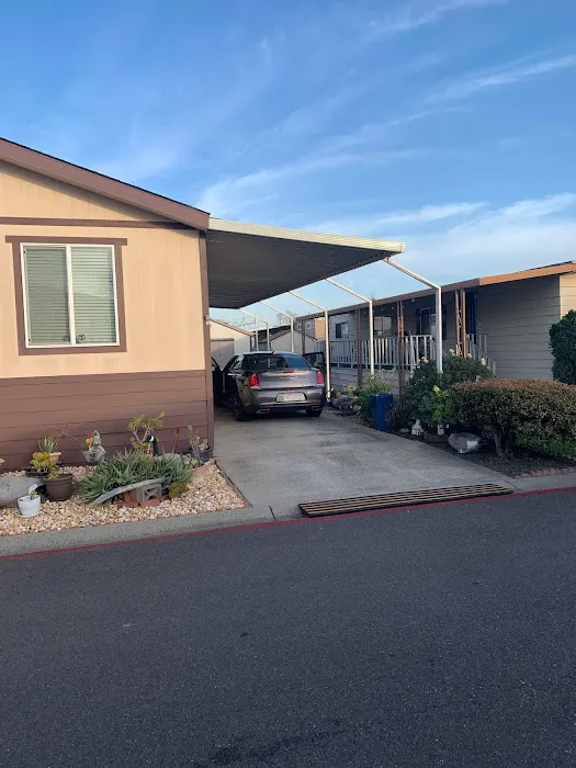 Pueblo Springs Mobile Home Park Picture 10