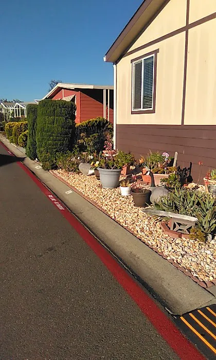 Pueblo Springs Mobile Home Park Picture 9