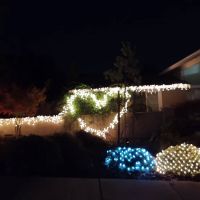 Vineyard Estates ico