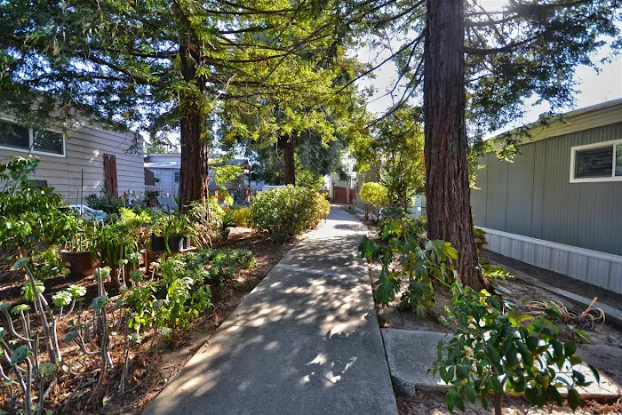 Pleasanton Hacienda Mobile Home Picture 4