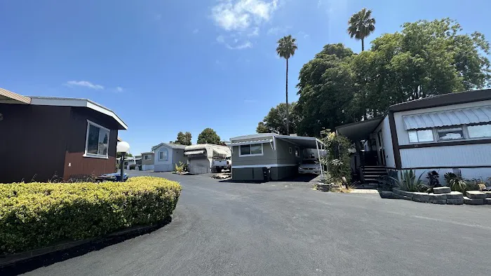 Chetwood Crest Mobile Homes Park Picture 2