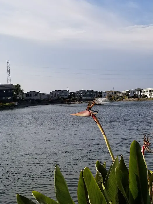 Sherwood Lake Mobile Home Park Picture 3