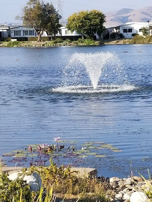 Sherwood Lake Mobile Home Park Picture 6