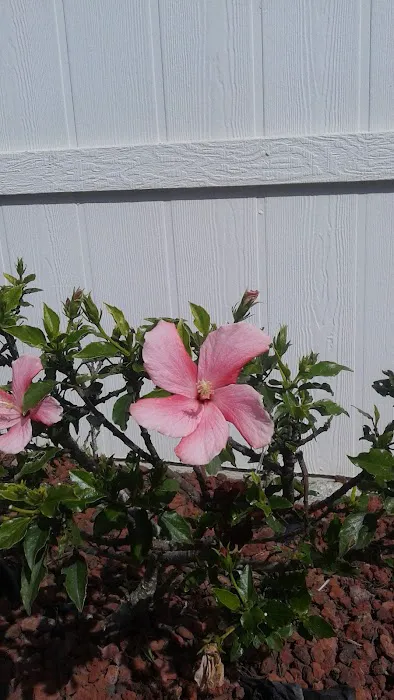 Cypress Square Mobile Home Park Picture 2