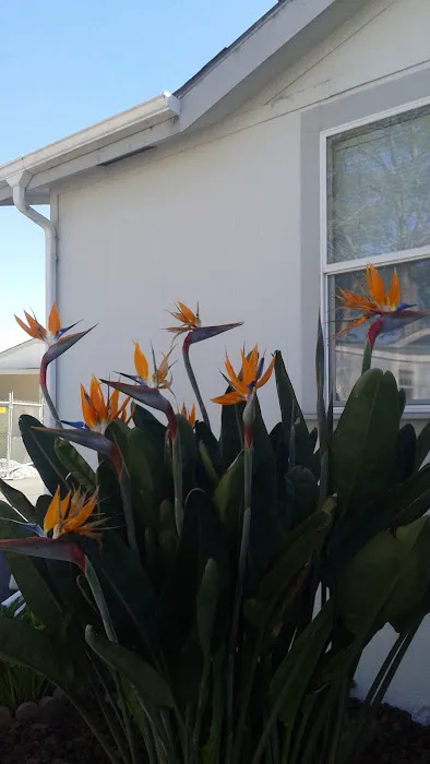 Cypress Square Mobile Home Park Picture 5