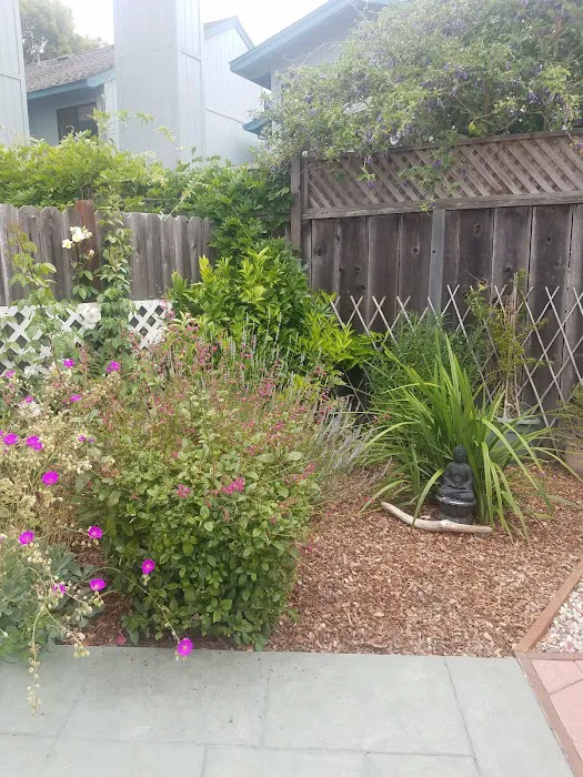 Shoreline Mobile Estates Picture 7