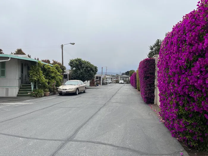 Seaside Mobile Estates Picture 5
