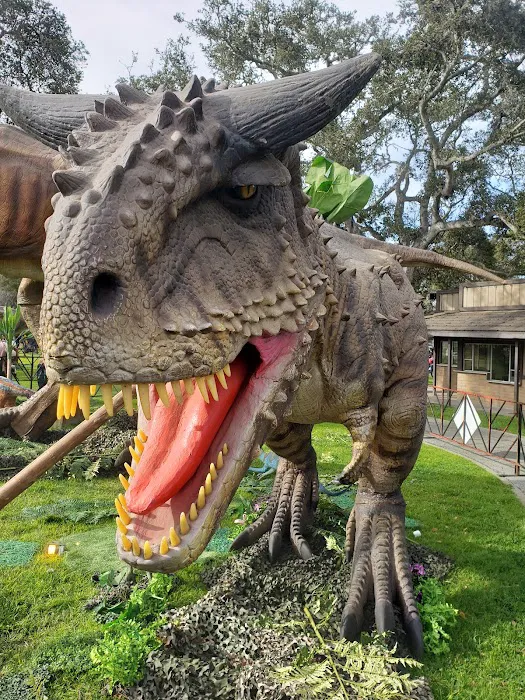 Monterey Fairgrounds RV Park Picture 8