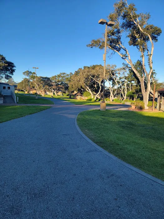 Monterey Fairgrounds RV Park Picture 7