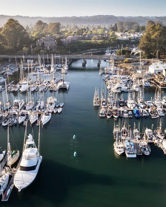 Santa Cruz Harbor RV Park Picture 1