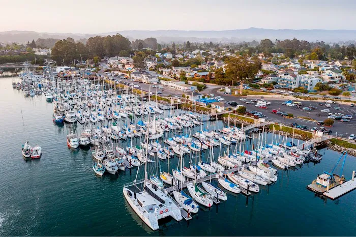 Santa Cruz Harbor RV Park Picture 3