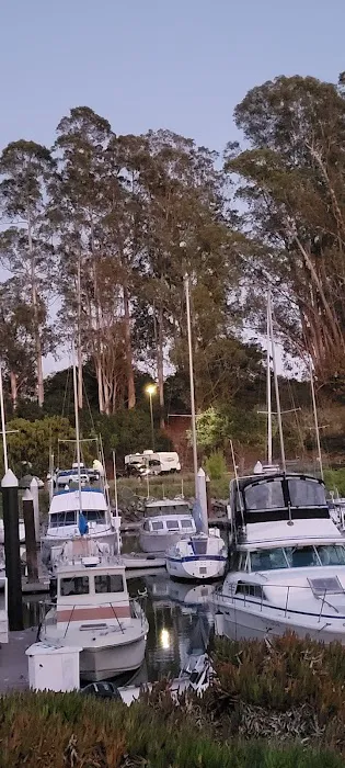 Santa Cruz Harbor RV Park Picture 4