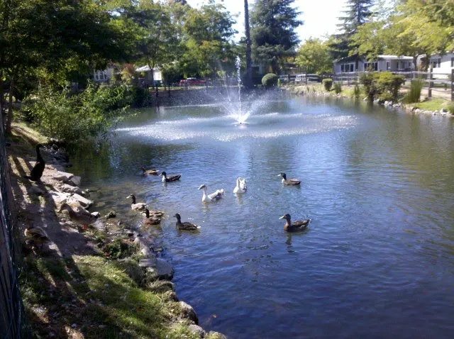 Vista del Lago Picture 10