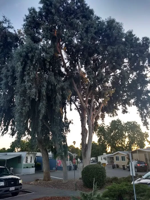 Sun Valley Mobile Estates Picture 5