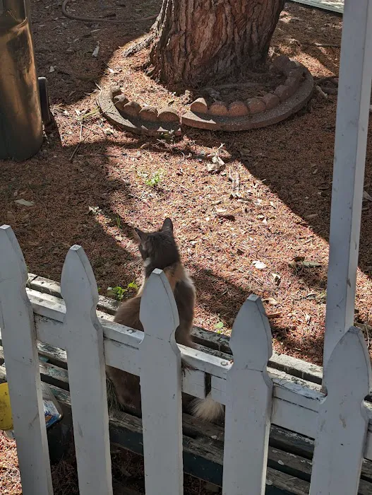 Sun Valley Mobile Estates Picture 2