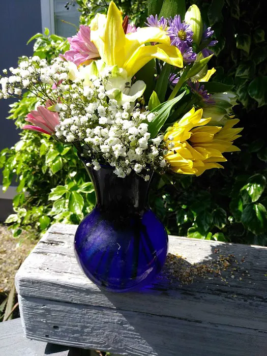 Sunrise Mobile Park Picture 1