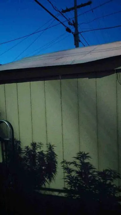 Del Rio Mobile Home Park Picture 4