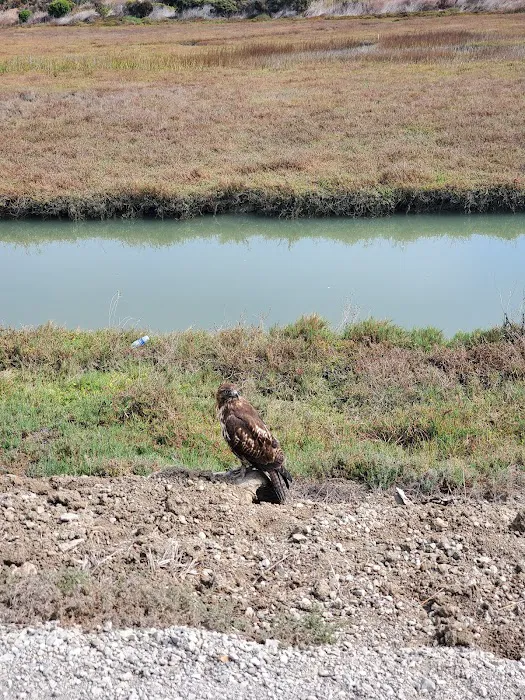 Mission Bay Picture 4