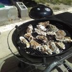 Estudillo Trailer Park2