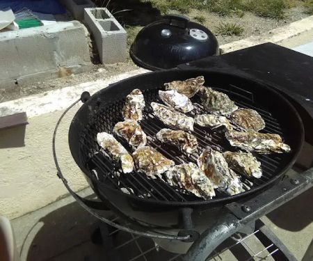 Estudillo Trailer Park2