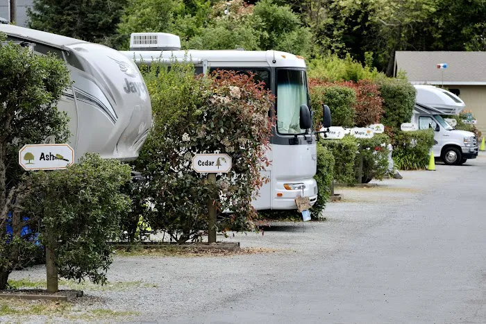 Carmel By the River RV Park Picture 1