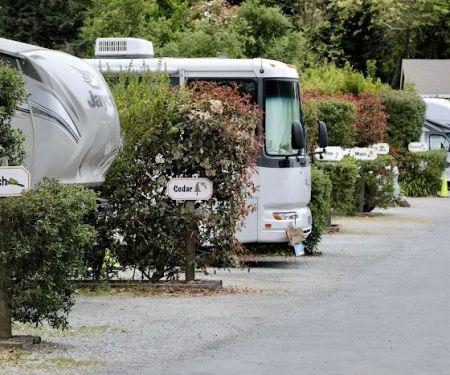 Carmel By the River RV Park