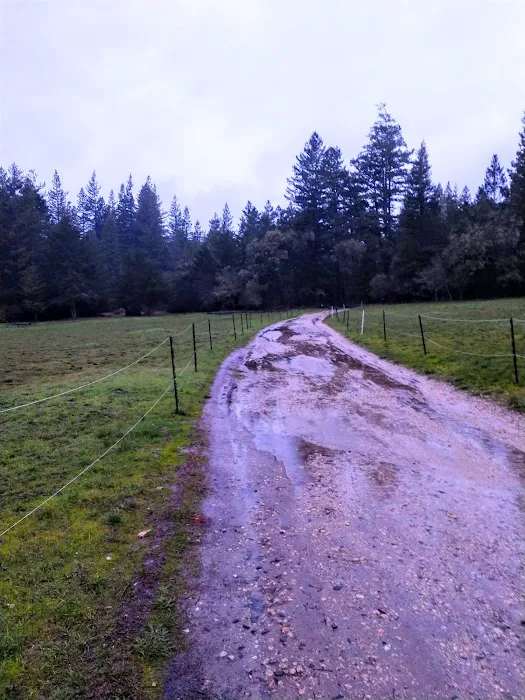 UCSC Trailer Park Picture 3