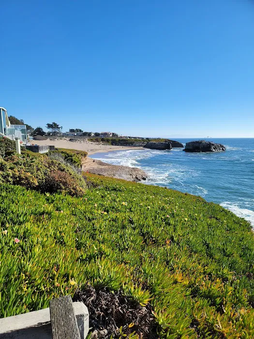 De Anza Santa Cruz Picture 4