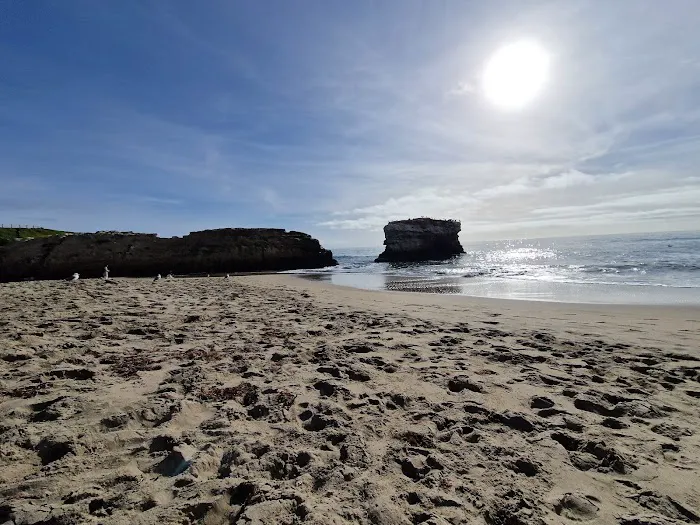 De Anza Santa Cruz Picture 5