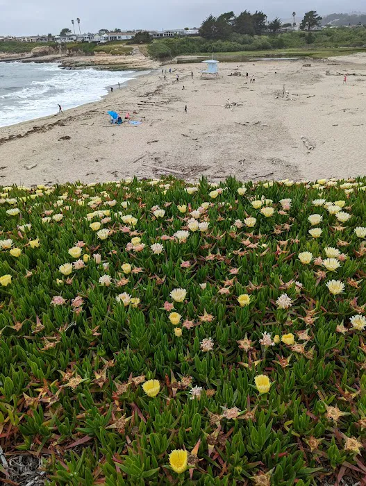 De Anza Santa Cruz Picture 7