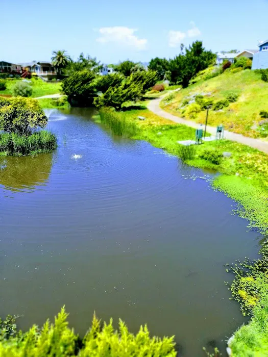 De Anza Santa Cruz Picture 9