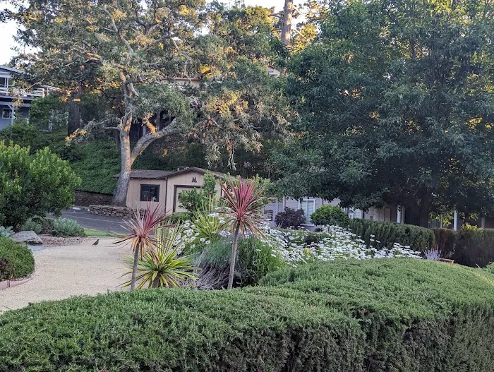 Montevalle of Scotts Valley Picture 5