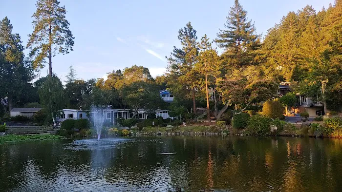 Montevalle of Scotts Valley Picture 2