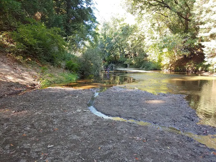 Cotillion Gardens RV Park Picture 10