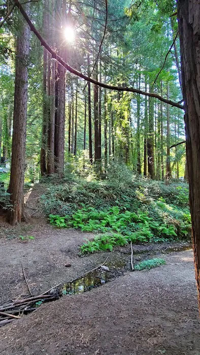 Cotillion Gardens RV Park Picture 9