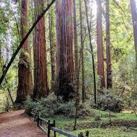Smithwoods RV Park ico